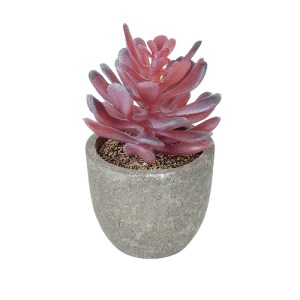 glo-21015-21015_2 GLOBOSTAR® ARTIFICIAL GARDEN SUCCULENT CRASSULA POTTED PLANT 21015 ΔΙΑΚΟΣΜΗΤΙΚΟ ΦΥΤΟ ΚΡΑΣΟ