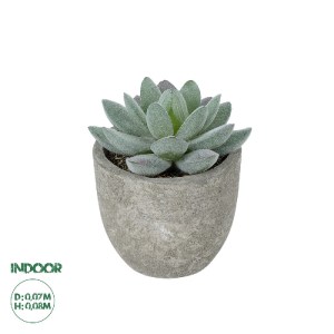 glo-21016-21016_0 GLOBOSTAR® ARTIFICIAL GARDEN SUCCULENT SEDEVERIA POTTED PLANT 21016 ΔΙΑΚΟΣΜΗΤΙΚΟ ΦΥΤΟ ΣΕΔΕ