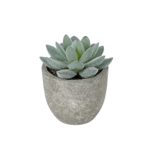 glo-21016-21016_2 GLOBOSTAR® ARTIFICIAL GARDEN SUCCULENT SEDEVERIA POTTED PLANT 21016 ΔΙΑΚΟΣΜΗΤΙΚΟ ΦΥΤΟ ΣΕΔΕ