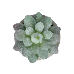 glo-21016-21016_3 GLOBOSTAR® ARTIFICIAL GARDEN SUCCULENT SEDEVERIA POTTED PLANT 21016 ΔΙΑΚΟΣΜΗΤΙΚΟ ΦΥΤΟ ΣΕΔΕ
