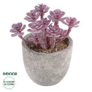 glo-21017-21017_0 GLOBOSTAR® ARTIFICIAL GARDEN SUCCULENT SEDUM 21017 ΔΙΑΚΟΣΜΗΤΙΚΟ ΦΥΤΟ ΠΑΧΥΦΥΤΟ ΣΕΔΟ Υ10CM