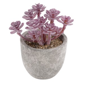 glo-21017-21017_2 GLOBOSTAR® ARTIFICIAL GARDEN SUCCULENT SEDUM 21017 ΔΙΑΚΟΣΜΗΤΙΚΟ ΦΥΤΟ ΠΑΧΥΦΥΤΟ ΣΕΔΟ Υ10CM