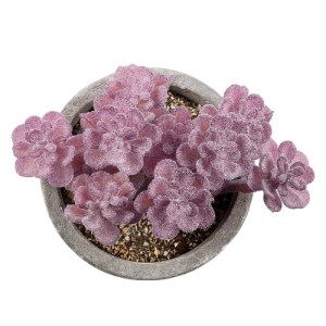 glo-21017-21017_3 GLOBOSTAR® ARTIFICIAL GARDEN SUCCULENT SEDUM 21017 ΔΙΑΚΟΣΜΗΤΙΚΟ ΦΥΤΟ ΠΑΧΥΦΥΤΟ ΣΕΔΟ Υ10CM