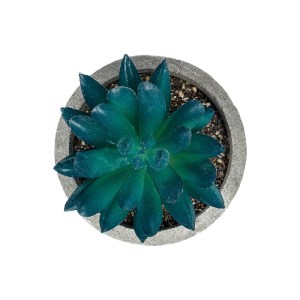 glo-21018-21018_3 GLOBOSTAR® ARTIFICIAL GARDEN SUCCULENT SEDEVERIA POTTED PLANT 21018 ΔΙΑΚΟΣΜΗΤΙΚΟ ΦΥΤΟ ΣΕΔΕ