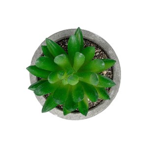 glo-21019-21019_3 GLOBOSTAR® ARTIFICIAL GARDEN SUCCULENT SEDEVERIA POTTED PLANT 21019 ΔΙΑΚΟΣΜΗΤΙΚΟ ΦΥΤΟ ΣΕΔΕ