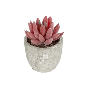 glo-21020-21020_2.webp GLOBOSTAR® ARTIFICIAL GARDEN SUCCULENT SEDEVERIA 21020 ΤΕΧΝΗΤΟ ΔΙΑΚΟΣΜΗΤΙΚΟ ΦΥΤΟ ΣΕΔΕΒΕΡΙΑ