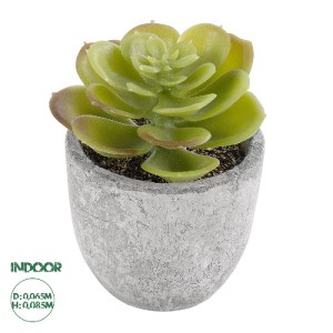 glo-21021-21021_0 GLOBOSTAR® ARTIFICIAL GARDEN SUCCULENT SEDEVERIA 21021 ΔΙΑΚΟΣΜΗΤΙΚΟ ΦΥΤΟ ΠΑΧΥΦΥΤΟ ΣΕΝΤΕΒΕΡ