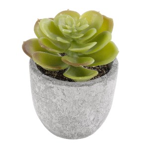 glo-21021-21021_2 GLOBOSTAR® ARTIFICIAL GARDEN SUCCULENT SEDEVERIA 21021 ΔΙΑΚΟΣΜΗΤΙΚΟ ΦΥΤΟ ΠΑΧΥΦΥΤΟ ΣΕΝΤΕΒΕΡ