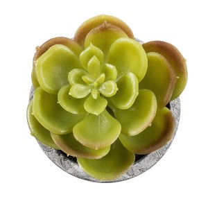glo-21021-21021_3 GLOBOSTAR® ARTIFICIAL GARDEN SUCCULENT SEDEVERIA 21021 ΔΙΑΚΟΣΜΗΤΙΚΟ ΦΥΤΟ ΠΑΧΥΦΥΤΟ ΣΕΝΤΕΒΕΡ
