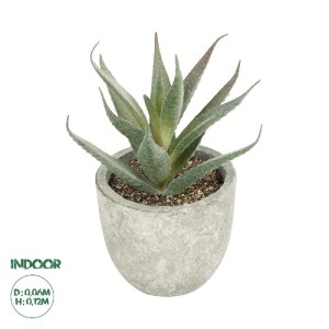 glo-21022-21022_00.webp GLOBOSTAR® ARTIFICIAL GARDEN SUCCULENT ALOE 21022 ΤΕΧΝΗΤΟ ΔΙΑΚΟΣΜΗΤΙΚΟ ΦΥΤΟ ΑΛΟΗ Μ6 X Π6 X