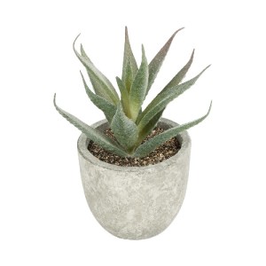 glo-21022-21022_2.webp GLOBOSTAR® ARTIFICIAL GARDEN SUCCULENT ALOE 21022 ΤΕΧΝΗΤΟ ΔΙΑΚΟΣΜΗΤΙΚΟ ΦΥΤΟ ΑΛΟΗ Μ6 X Π6 X