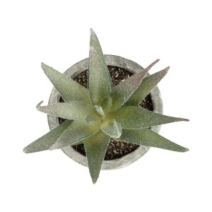 glo-21022-21022_3.webp GLOBOSTAR® ARTIFICIAL GARDEN SUCCULENT ALOE 21022 ΤΕΧΝΗΤΟ ΔΙΑΚΟΣΜΗΤΙΚΟ ΦΥΤΟ ΑΛΟΗ Μ6 X Π6 X