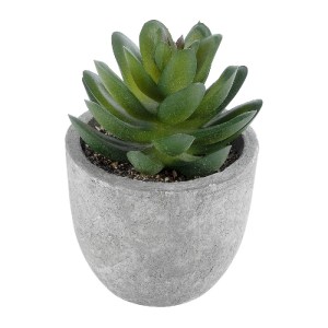 glo-21023-21023_2 GLOBOSTAR® ARTIFICIAL GARDEN SUCCULENT SEDEVERIA 21023 ΔΙΑΚΟΣΜΗΤΙΚΟ ΦΥΤΟ ΠΑΧΥΦΥΤΟ ΣΕΝΤΕΒΕΡ