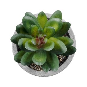glo-21023-21023_3 GLOBOSTAR® ARTIFICIAL GARDEN SUCCULENT SEDEVERIA 21023 ΔΙΑΚΟΣΜΗΤΙΚΟ ΦΥΤΟ ΠΑΧΥΦΥΤΟ ΣΕΝΤΕΒΕΡ