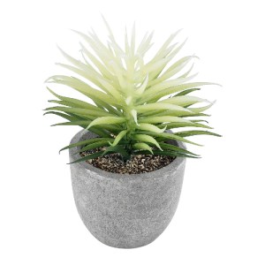 glo-21024-21024_2 GLOBOSTAR® ARTIFICIAL GARDEN SUCCULENT SENECIO 21024 ΔΙΑΚΟΣΜΗΤΙΚΟ ΦΥΤΟ ΠΑΧΥΦΥΤΟ ΣΕΝΕΚΙΟ Υ1