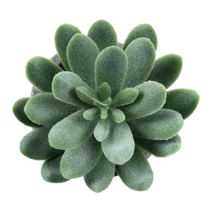 glo-21025-21025_3 GLOBOSTAR® ARTIFICIAL GARDEN SUCCULENT SEDEVERIA 21025 ΔΙΑΚΟΣΜΗΤΙΚΟ ΦΥΤΟ ΠΑΧΥΦΥΤΟ ΣΕΝΤΕΒΕΡ