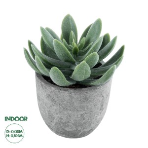 glo-21025-45ed56_21025_0 GLOBOSTAR® ARTIFICIAL GARDEN SUCCULENT SEDEVERIA 21025 ΔΙΑΚΟΣΜΗΤΙΚΟ ΦΥΤΟ ΠΑΧΥΦΥΤΟ ΣΕΝΤΕΒΕΡ
