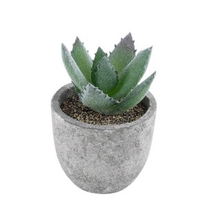 glo-21026-21026_2 GLOBOSTAR® ARTIFICIAL GARDEN SUCCULENT ALOE 21026 ΔΙΑΚΟΣΜΗΤΙΚΟ ΦΥΤΟ ΠΑΧΥΦΥΤΟ ΑΛΟΗ Υ10.5CM