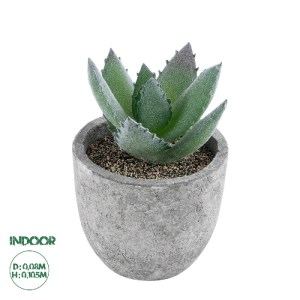 glo-21026-c677de_21026_0 GLOBOSTAR® ARTIFICIAL GARDEN SUCCULENT ALOE 21026 ΔΙΑΚΟΣΜΗΤΙΚΟ ΦΥΤΟ ΠΑΧΥΦΥΤΟ ΑΛΟΗ Υ10.5CM
