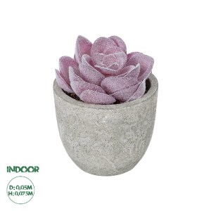 glo-21028-21028_0 GLOBOSTAR® ARTIFICIAL GARDEN SUCCULENT SEDEVERIA POTTED PLANT 21028 ΔΙΑΚΟΣΜΗΤΙΚΟ ΦΥΤΟ ΣΕΔΕ