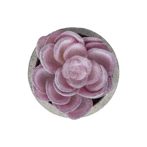 glo-21028-21028_3 GLOBOSTAR® ARTIFICIAL GARDEN SUCCULENT SEDEVERIA POTTED PLANT 21028 ΔΙΑΚΟΣΜΗΤΙΚΟ ΦΥΤΟ ΣΕΔΕ