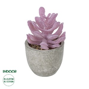 glo-21029-21029_0 GLOBOSTAR® ARTIFICIAL GARDEN SUCCULENT CRASSULA POTTED PLANT 21029 ΔΙΑΚΟΣΜΗΤΙΚΟ ΦΥΤΟ ΚΡΑΣΟ