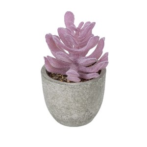 glo-21029-21029_2 GLOBOSTAR® ARTIFICIAL GARDEN SUCCULENT CRASSULA POTTED PLANT 21029 ΔΙΑΚΟΣΜΗΤΙΚΟ ΦΥΤΟ ΚΡΑΣΟ