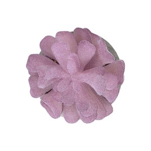 glo-21029-21029_3 GLOBOSTAR® ARTIFICIAL GARDEN SUCCULENT CRASSULA POTTED PLANT 21029 ΔΙΑΚΟΣΜΗΤΙΚΟ ΦΥΤΟ ΚΡΑΣΟ