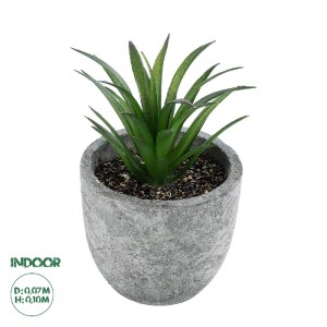 glo-21030-21030_0 GLOBOSTAR® ARTIFICIAL GARDEN SUCCULENT ALOE 21030 ΔΙΑΚΟΣΜΗΤΙΚΟ ΦΥΤΟ ΠΑΧΥΦΥΤΟ ΑΛΟΗ Υ10CM