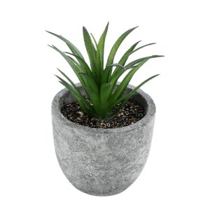 glo-21030-21030_2 GLOBOSTAR® ARTIFICIAL GARDEN SUCCULENT ALOE 21030 ΔΙΑΚΟΣΜΗΤΙΚΟ ΦΥΤΟ ΠΑΧΥΦΥΤΟ ΑΛΟΗ Υ10CM
