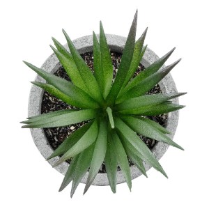 glo-21030-21030_3 GLOBOSTAR® ARTIFICIAL GARDEN SUCCULENT ALOE 21030 ΔΙΑΚΟΣΜΗΤΙΚΟ ΦΥΤΟ ΠΑΧΥΦΥΤΟ ΑΛΟΗ Υ10CM