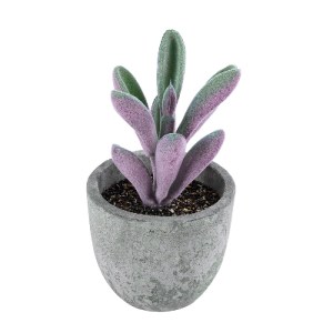 glo-21031-21031_2 GLOBOSTAR® ARTIFICIAL GARDEN SUCCULENT CRASULLA 21031 ΔΙΑΚΟΣΜΗΤΙΚΟ ΦΥΤΟ ΠΑΧΥΦΥΤΟ ΚΡΑΣΟΥΛΑ 