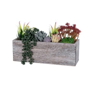 glo-21033-21033_2 GLOBOSTAR® ARTIFICIAL GARDEN SUCCULENT VARIUS PLANT POTTED 21033 ΔΙΑΚΟΣΜΗΤΙΚΟ ΦΥΤΟ ΜΙΞ Μ29
