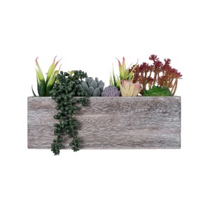 glo-21033-21033_3 GLOBOSTAR® ARTIFICIAL GARDEN SUCCULENT VARIUS PLANT POTTED 21033 ΔΙΑΚΟΣΜΗΤΙΚΟ ΦΥΤΟ ΜΙΞ Μ29