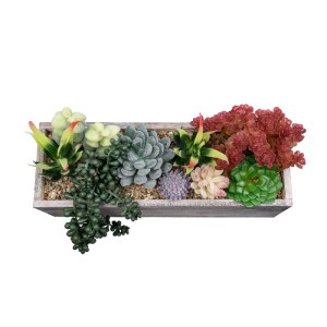glo-21033-21033_4 GLOBOSTAR® ARTIFICIAL GARDEN SUCCULENT VARIUS PLANT POTTED 21033 ΔΙΑΚΟΣΜΗΤΙΚΟ ΦΥΤΟ ΜΙΞ Μ29