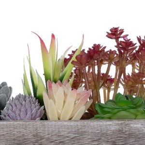 glo-21033-21033_5 GLOBOSTAR® ARTIFICIAL GARDEN SUCCULENT VARIUS PLANT POTTED 21033 ΔΙΑΚΟΣΜΗΤΙΚΟ ΦΥΤΟ ΜΙΞ Μ29