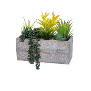 glo-21034-21034_2 GLOBOSTAR® ARTIFICIAL GARDEN SUCCULENT VARIUS PLANT POTTED 21034 ΔΙΑΚΟΣΜΗΤΙΚΟ ΦΥΤΟ ΜΙΞ Μ23