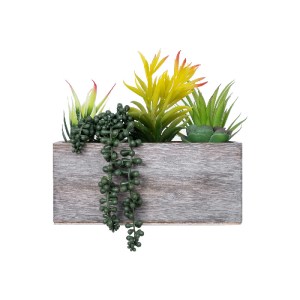 glo-21034-21034_3 GLOBOSTAR® ARTIFICIAL GARDEN SUCCULENT VARIUS PLANT POTTED 21034 ΔΙΑΚΟΣΜΗΤΙΚΟ ΦΥΤΟ ΜΙΞ Μ23