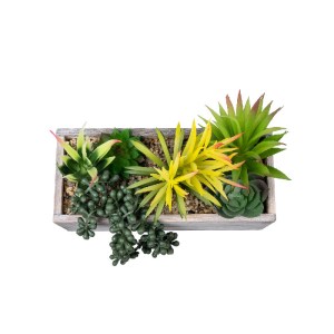 glo-21034-21034_4 GLOBOSTAR® ARTIFICIAL GARDEN SUCCULENT VARIUS PLANT POTTED 21034 ΔΙΑΚΟΣΜΗΤΙΚΟ ΦΥΤΟ ΜΙΞ Μ23