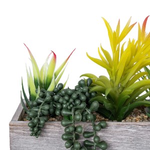 glo-21034-21034_5 GLOBOSTAR® ARTIFICIAL GARDEN SUCCULENT VARIUS PLANT POTTED 21034 ΔΙΑΚΟΣΜΗΤΙΚΟ ΦΥΤΟ ΜΙΞ Μ23