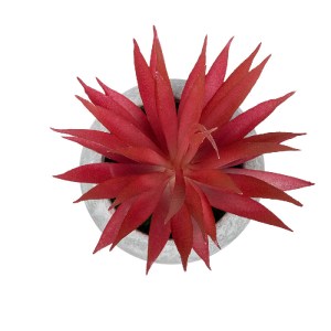 glo-21035-21035_3 GLOBOSTAR® ARTIFICIAL GARDEN AIR PLANT TILLANDSIA POTTED PLANT 21035 ΔΙΑΚΟΣΜΗΤΙΚΟ ΦΥΤΟ ΤΙΛ