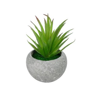 glo-21036-21036_2 GLOBOSTAR® ARTIFICIAL GARDEN AIR PLANT TILLANDSIA POTTED PLANT 21036 ΔΙΑΚΟΣΜΗΤΙΚΟ ΦΥΤΟ ΤΙΛ