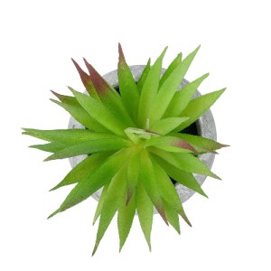 glo-21036-21036_3 GLOBOSTAR® ARTIFICIAL GARDEN AIR PLANT TILLANDSIA POTTED PLANT 21036 ΔΙΑΚΟΣΜΗΤΙΚΟ ΦΥΤΟ ΤΙΛ