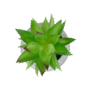 glo-21037-21037_3 GLOBOSTAR® ARTIFICIAL GARDEN SUCCULENT ALOE POTTED PLANT 21037 ΔΙΑΚΟΣΜΗΤΙΚΟ ΦΥΤΟ ΑΛΟΗ Φ10 