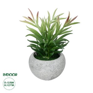 glo-21038-21038_0 GLOBOSTAR® ARTIFICIAL GARDEN SUCCULENT CRASSULA POTTED PLANT 21038 ΔΙΑΚΟΣΜΗΤΙΚΟ ΦΥΤΟ ΚΡΑΣΟ