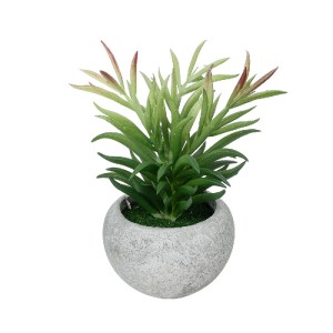 glo-21038-21038_2 GLOBOSTAR® ARTIFICIAL GARDEN SUCCULENT CRASSULA POTTED PLANT 21038 ΔΙΑΚΟΣΜΗΤΙΚΟ ΦΥΤΟ ΚΡΑΣΟ