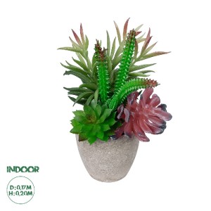 glo-21039-21039_0 GLOBOSTAR® ARTIFICIAL GARDEN SUCCULENT VARIUS PLANT POTTED 21039 ΔΙΑΚΟΣΜΗΤΙΚΟ ΦΥΤΟ ΜΙΞ Μ17