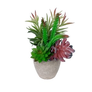 glo-21039-21039_2 GLOBOSTAR® ARTIFICIAL GARDEN SUCCULENT VARIUS PLANT POTTED 21039 ΔΙΑΚΟΣΜΗΤΙΚΟ ΦΥΤΟ ΜΙΞ Μ17