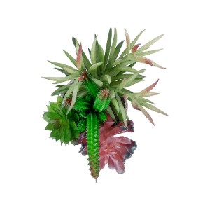 glo-21039-21039_3 GLOBOSTAR® ARTIFICIAL GARDEN SUCCULENT VARIUS PLANT POTTED 21039 ΔΙΑΚΟΣΜΗΤΙΚΟ ΦΥΤΟ ΜΙΞ Μ17