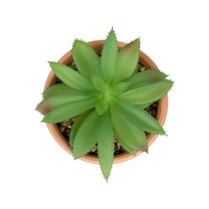 glo-21040-21040_3 GLOBOSTAR® ARTIFICIAL GARDEN SUCCULENT ALOE POTTED PLANT 21040 ΔΙΑΚΟΣΜΗΤΙΚΟ ΦΥΤΟ ΑΛΟΗ Φ9 X